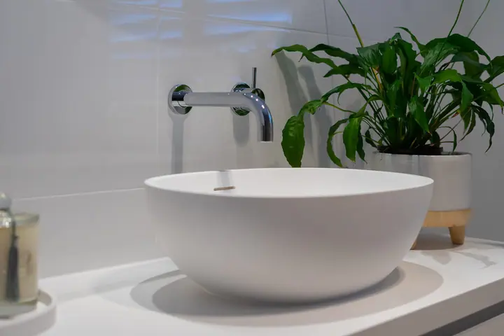 White basin with a wall-mounted mixer and a pot plant